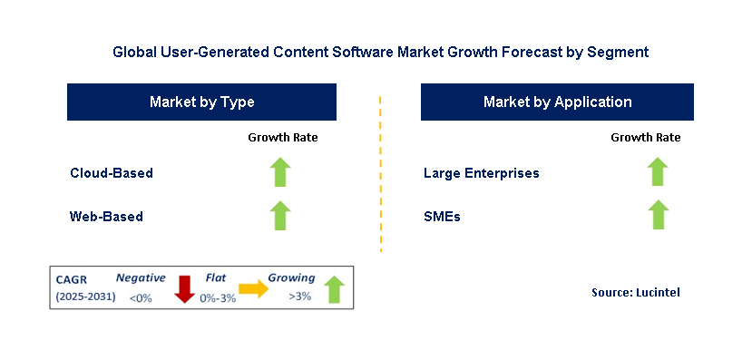 User-Generated Content Software Market by Segment